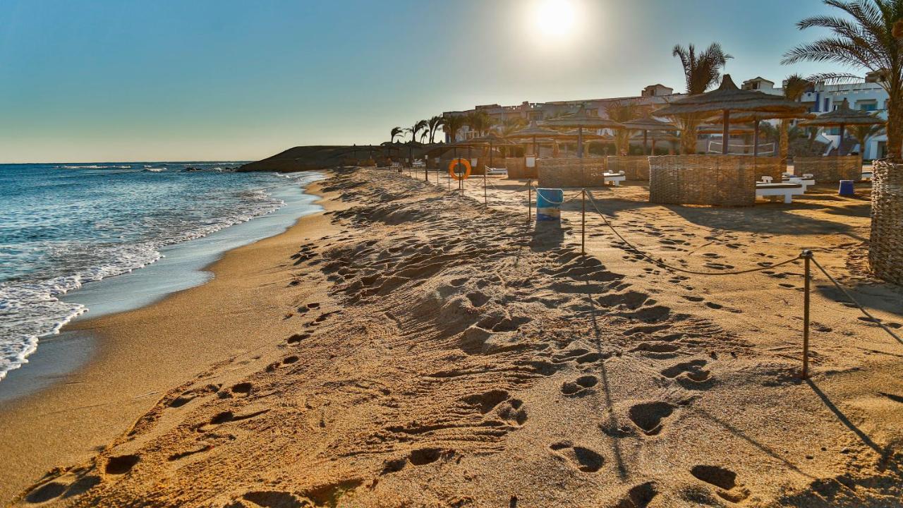 Coral Sun Beach (Adults Only) Safadża Zewnętrze zdjęcie